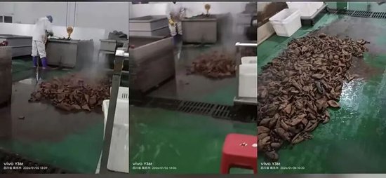  从模仿偶像到带货风波；凌达乐的网红之路，如何卷入牛肚卫生争议？ 娱乐新闻