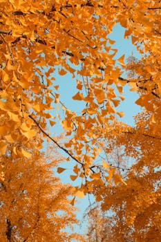 超高强度碳纤维迎来突破；新兴领域需求迅猛释放。