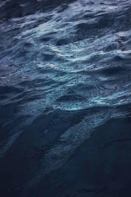  没收三百亿背后的法治逻辑：虚拟资产的监管边界与定性演变。 新闻