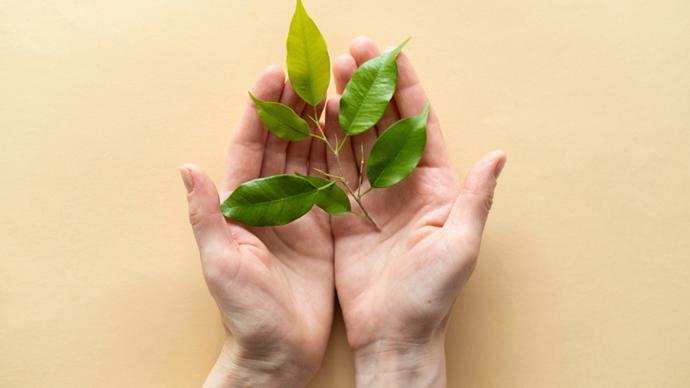 从腱鞘炎确诊到康复：一位六旬实践者的完整干预复盘