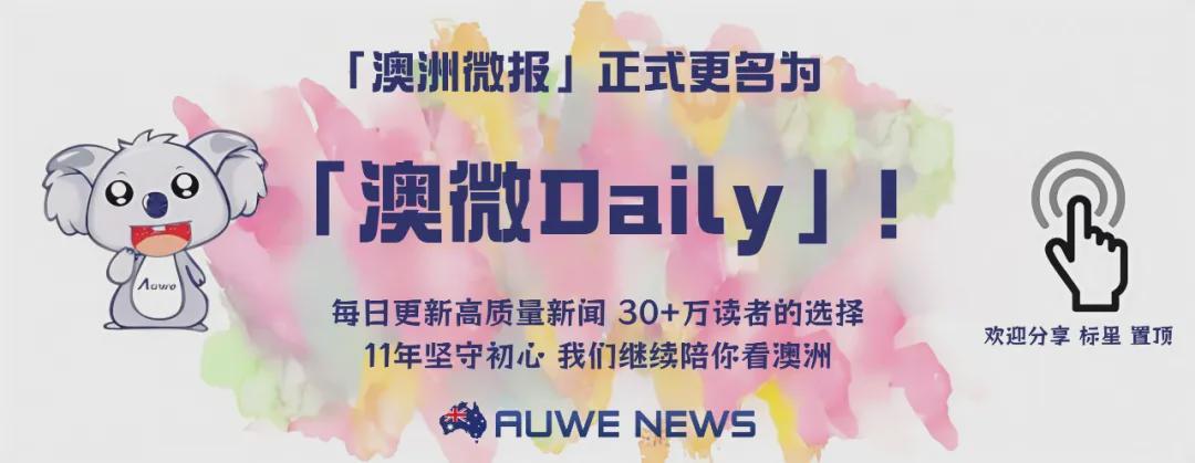  签证风暴核心数据解析：32.5%拒签率背后的政策逻辑与结构性风险 新闻