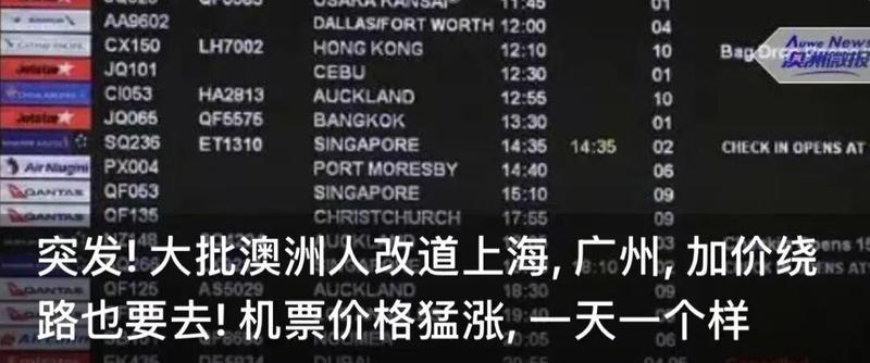  签证风暴核心数据解析：32.5%拒签率背后的政策逻辑与结构性风险 新闻