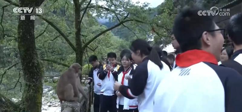  【深度解析】丹霞地貌与文化印记：武夷山如何重构自然教育的边界 文化旅游