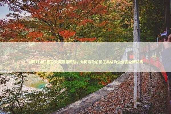 当即时通讯面临数据泄露威胁，为何这款加密工具成为企业安全新防线