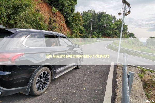 深扒海南消博会幕后的神秘推手与发展密码 新闻