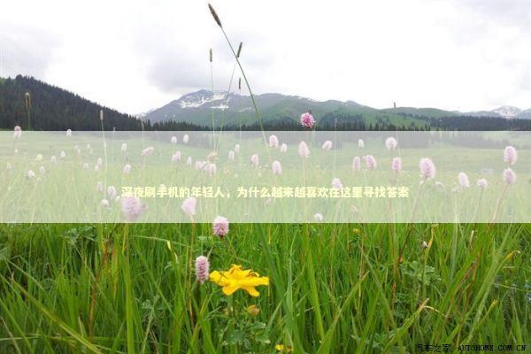 深夜刷手机的年轻人，为什么越来越喜欢在这里寻找答案 情感心理