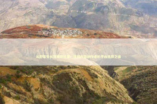 从野蛮生长到规范运营：视频内容创作者的平台选择之道 IT技术