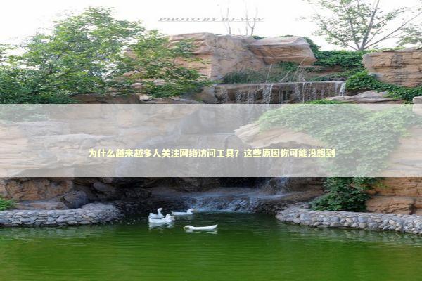 为什么越来越多人关注网络访问工具？这些原因你可能没想到 IT技术