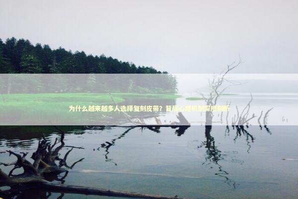 为什么越来越多人选择复刻皮带？背后心理机制深度剖析