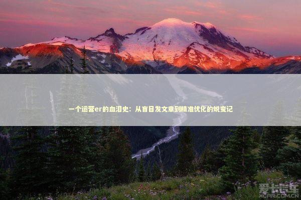 一个运营er的血泪史：从盲目发文章到精准优化的蜕变记 IT技术