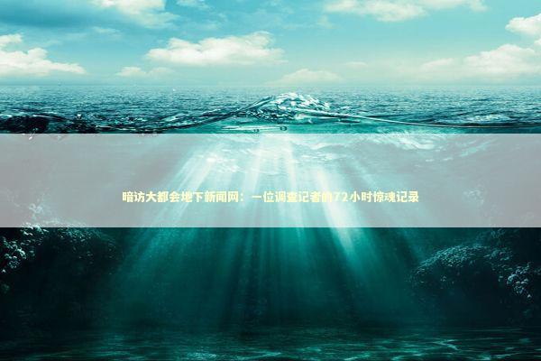 暗访大都会地下新闻网：一位调查记者的72小时惊魂记录 新闻