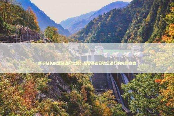 新手站长的建站进阶之路：从零基础到稳定运行的完整方案 IT技术