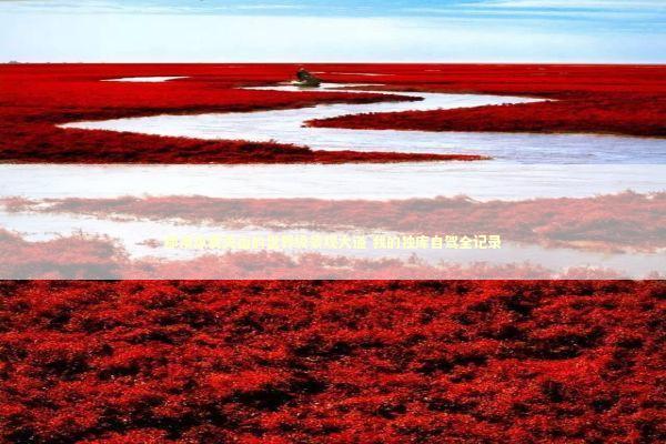 那条纵贯天山的世界级景观大道 我的独库自驾全记录 新闻