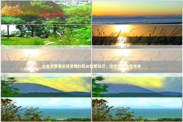 企业运营者必须掌握的后台管理知识，这些细节决定效率 企业服务